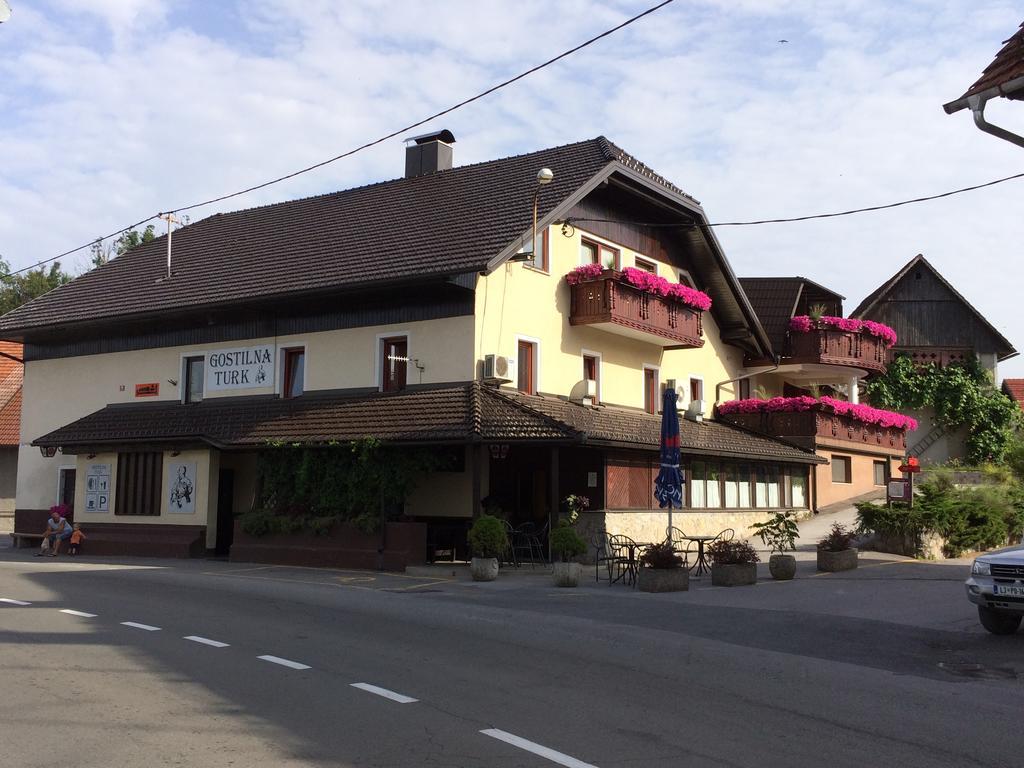 Gostilna Turk Hotell Hotedrsica Exteriör bild
